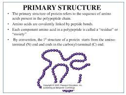 Proteins form the fundamental basis of structure and function of life. Protein Structure Details