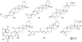 Image result for Tarenna sp. 53