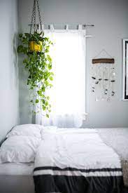 They have long strappy leaves and arching stems with tiny plantlets on the ends, which can be pinched off to make new baby plants. How To Display Houseplants 98 Of Our Favorite Plant Display Ideas Apartment Therapy