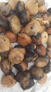 Image result for Telfairia