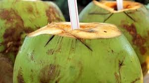 Find & download the most popular coconut water photos on freepik free for commercial use high quality images over 8 million stock photos. Workout Drink To Skin Woes Why You Can Count On Coconut Water Lifestyle News The Indian Express