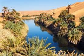 Bahariya Oasis Egypt Photo By Daniela Montecchiarini Egypt Tours Egypt Streams In The Desert