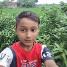 Hi everyone, does anyone know how to revert the camera app to the old  version? After updating to HyperOS version 2.0.201.0, some of the features  have disappeared from my camera, like panorama,