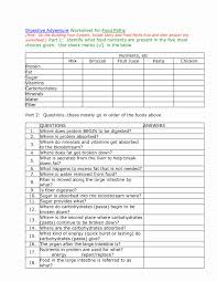 Digestive System Worksheet Answer Key Unique 12 Best Of Vitamin And Minerals In 2020 Basic Anatomy And Physiology Digestive System Worksheet Persuasive Writing Prompts