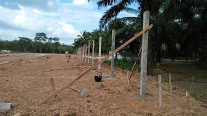 Maybe you would like to learn more about one of these? Kontraktor Reban Ayam Bisnes Ayam Daging Kontrak Farming Maria Firdaus