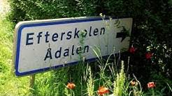 Ådalen 31, the 1969 swedish drama (w/ english subs), featuring peter schildt, kerstin tidelius, roland hedlund and marie de. Efterskolen Adalen Youtube
