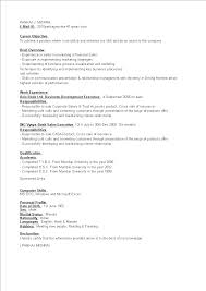 Now, what about the optional sections of your cv? Business Development Executive Resume Templates At Allbusinesstemplates Com