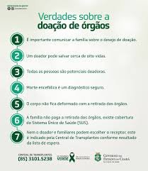 Destacando esta modalidade, podemos definir: Setembro E Mes De Sensibilizacao A Doacao De Orgaos E Tecidos Secretaria Da Saude