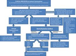 Image result for Homocystinuria