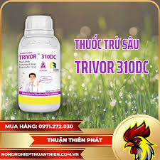 Trivor 310DC