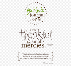 Alle bestellungen sind sonderanfertigungen und werden meist innerhalb von 24 stunden versendet. Dankbarkeit Journal Tagebuch Text Schreiben Dankbarkeit Journal Schriftlich Aufgefordert Png Herunterladen 500 833 Kostenlos Transparent Text Png Herunterladen