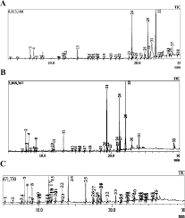 Image result for Aspilia pluriseta