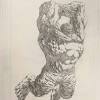 Zhc drawing time lapse of dax and turkey. Https Encrypted Tbn0 Gstatic Com Images Q Tbn And9gcqphc87dyahnajbutrpn6 Lwrspqdgtz4ku9mkym6jjxqp8 O6p Usqp Cau