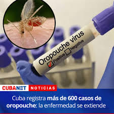 CubaNet Noticias added a new photo.