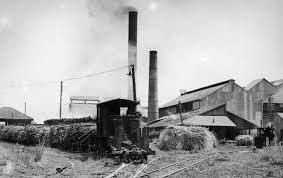 The Making And Remaking Of A Cane Countryside Global Rural