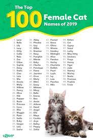 It is a good way to make a new cat feel more like part of the family. The 100 Most Popular Male And Female Cat Names Of 2020 Rover Com Unique Cat Names Kitten Names Kitten Names Unique