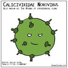 Download norovirus images and photos. Errantscience On Twitter No Experimental Plan Can Withstand The Sudden Appearance Of Norovirus Unless It S An Experiment Using Norovirus Https T Co Jvycqyik3k