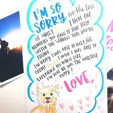 Let's be real, our pets are perfect to us but even they have i'm so sorry for the loss of your sweet dog. What To Write In A Pet Sympathy Card By Punkpost Punkpost Medium