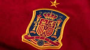 Des matchs de foot pour la bonne cause 23 juin 2021; Espagne Pologne Uefa Euro 2020 Uefa Com