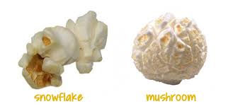 Image result for popcorn
