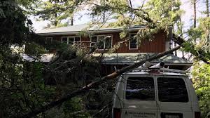 Gurewitsch from moment then science technology before. Ju 6yucvil0wrm