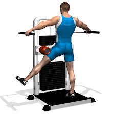 Multi Hip Side Leg Raises Involved Muscles During The Training Abductors Leg Raise Exercise Leg Raises Exercise