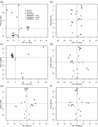 Image result for Loudetia simplex
