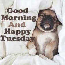 A day to remember quotes about tuesday andy holding tuesday tips back to work tuesday beautiful quotes on morning beautiful tuesday morning images beautiful tuesday quotes best day ever quotes images best meaningful quotes images best tue best tuesday morning quotes blessed tuesday images and quotes but for me it was just a tuesday. 50 Best Happy Tuesday Quotes And Sayings With Pictures In 2021 Happy Tuesday Quotes Morning Quotes Funny Tuesday Quotes Good Morning