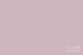 Colorful and handy, take it wherever you go. Aesthetic Cute Solid Color Backgrounds Love Inspiration