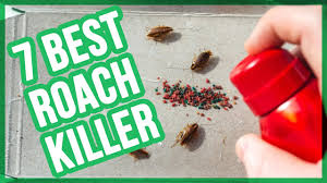 Contact us today to schedule pest control service. Best Roach Killers In 2020 Top 7 Roach Bait Youtube
