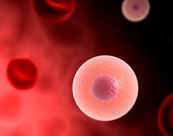 Image result for Prothrombin Time