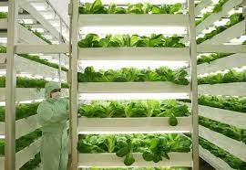 We did not find results for: à¸§ à¸˜ à¹ƒà¸Š à¹€à¸—à¸„à¹‚à¸™à¹‚à¸¥à¸¢ à¸Š à¸§à¸ à¸²à¸žà¹ƒà¸« à¸„à¸§à¸šà¸„ à¸ à¸šà¸à¸²à¸£à¹€à¸à¸©à¸•à¸£ Bioimagene à¸à¸²à¸£à¸§ à¸ˆ à¸¢à¹à¸¥à¸°à¸ž à¸'à¸™à¸² à¹€à¸—à¸„à¹‚à¸™à¹‚à¸¥à¸¢ à¸Š à¸§à¸ à¸²à¸ž à¸à¸²à¸£à¹€à¸¥ à¸¢à¸‡à¹€à¸™ à¸­à¹€à¸¢ à¸­ à¸ªà¸¡ à¸™à¹„à¸žà¸£