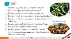 Bab 2 Biodiversity Compiled By Risda Muli S
