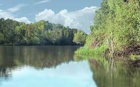 Churches in lake arthur include: Louisiana Map Fishing Lakes Locations In La