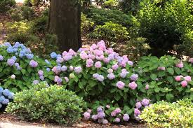Pin On Gardening