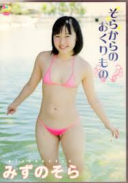 Image Creator (Mizuno Sora) DVD A gift from the sky | ありある | まんだらけ MANDARAKE