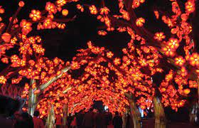 There is no charge for parking at the missouri botanical garden. Chinese Lanterns Return To The Missouri Botanical Garden Next May With Magic Reimagined
