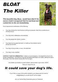 Pin On Animal Love Health