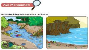 Lengkap Kunci Jawaban Kelas 5 Tema 6 Halaman 39 40 41 42 43 44 45 Dan 46 Subtema 1 Suhu Dan Kalor Tribun Pontianak