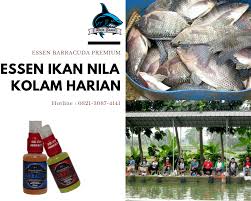 Umpan Yang Kita Pakai Harus Yang Bagus Dan Berkualitas Salah Satu Cara Agar Umpan Menjadi Lebih Bagus Adalah Dengan Mencampurkan Es Ikan Essen Kolam
