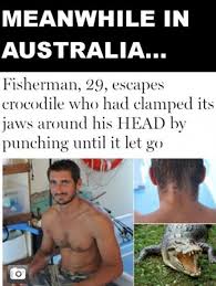 Meanwhile In Australia Meanwhile In Australia Australia Funny Funny Meme Pictures