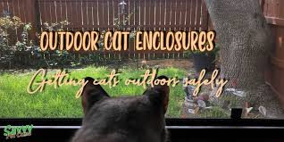 The cat enclosure we built is 8' long, 3' wide and 9' tall at the back wall, 8'6 tall at the front wall. Outdoor Cat Enclosures Getting Cats Outside Safely Savvy Pet Care