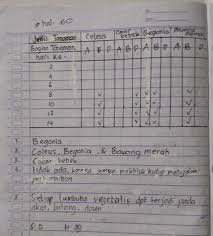 Jawaban Buku Paket Ipa Kelas 9 Semester 1 Halaman 60 Brainly Co Id