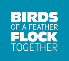 Proverb Birds Of A Feather Flock Together Quotes Loyalty Man Southern Sayings Old Time Sayings Old Quotes