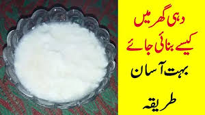 How To Make Yogurt At Home Dahi Banane Ka Tariqa In Urdu Pakistani C Homemade Yogurt Yogurt Crunch