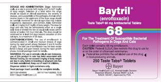 Baytril Enrofloxacin 68mg Taste Tabs 250 Tablets