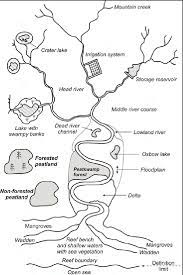 Wetlands are places where water sits long enough, and often enough, to alter the soil, vegetation and animal communities that live there. 6 Wetland Types Only Two Ramsar Wetland Categories Acknowledge Download Scientific Diagram
