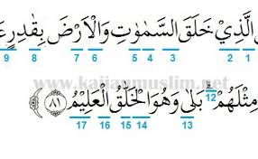 Berisi bacaan surat yasin lengkap dari ayat 1 sampai 83, tulisan arab, latin dan terjemahannya dalam bahasa indonesia. Tajwid Surat Yasin Ayat 81 Cute766