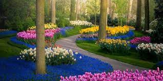 We did not find results for: Ditutup Begini Pemandangan Taman Bunga Terindah Di Dunia Keukenhof Tanpa Pengunjung Merdeka Com