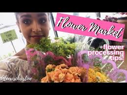 The roses and carnations are my favorites there, with so many. Flowers And Produce At Produce Junction Philadelphia Youtube